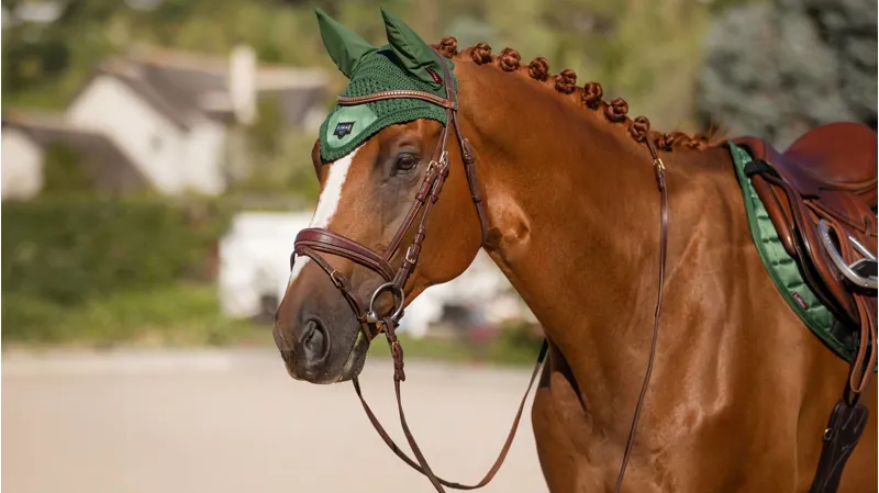 LeMieux Loire Satin Fly Hood Hunter Green-2